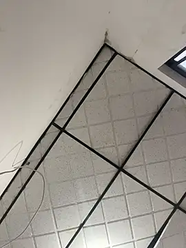 CarolineFyre Live XXX-chat