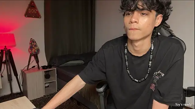 OopsAgain_n Webbikameraesitys