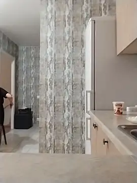 Show modela SalientClean na web-kameri