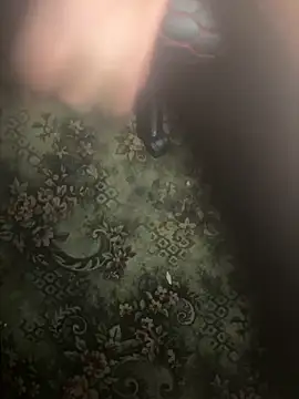 zozo971008 网络视讯表演