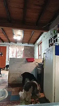 Show de ChanneldelaCroix na webcam