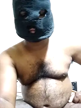 Hiptonosn Webbikameraesitys