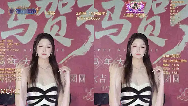 A848-01 网络视讯表演