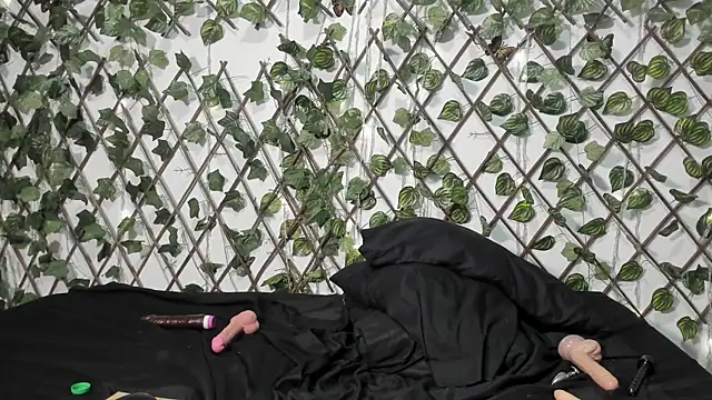 Chatroom XXX en direct de LittlePeach_