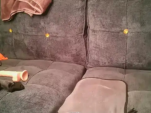 Rimeldany 라이브 XXX 채팅