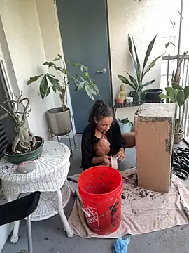 sexymsbrown 라이브 XXX 채팅