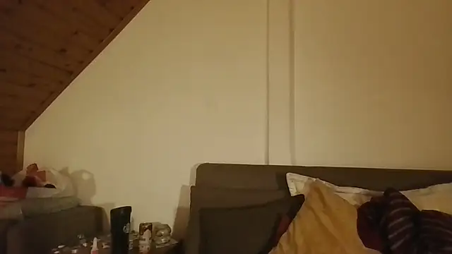 carmine_caten Webbikameraesitys