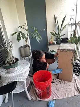 Chat +18 de sexymsbrown ao vivo