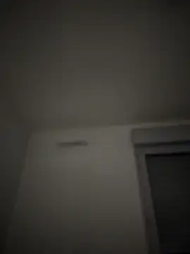 frenchsodomielover86 라이브 XXX 채팅