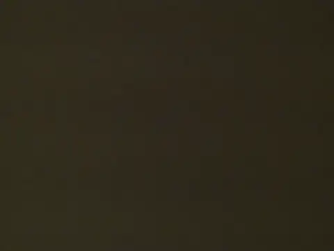 CurvyAssXX21 live XXX chat