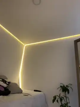 AmmyCollinsW 即時 XXX 聊天