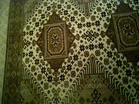 FayInessaKiss 即時 XXX 聊天