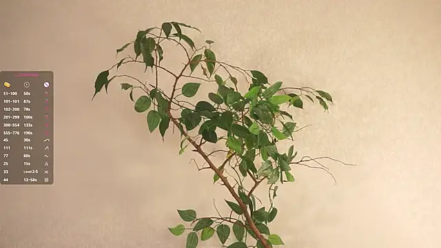 JamaAono – Naživo XXX chat