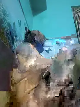 babydollcutyyyyy Chat XXX in diretta