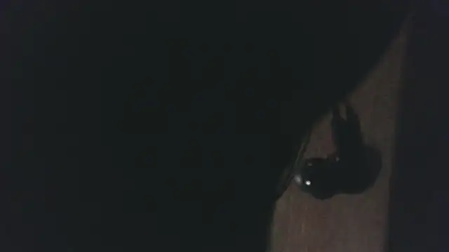 hpluvsplata's Webcam Show