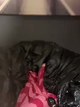 SEXaddictCANDY10 现场XXX聊天