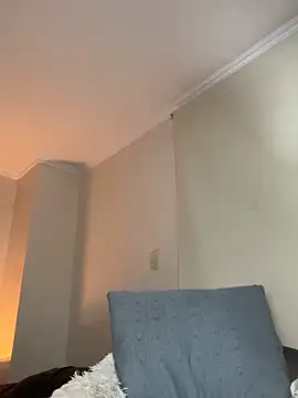 Samispank webcam show