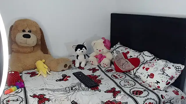 crss_2020 webkamerás műsora