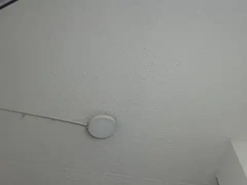 Ailanys_Miller Webcam show