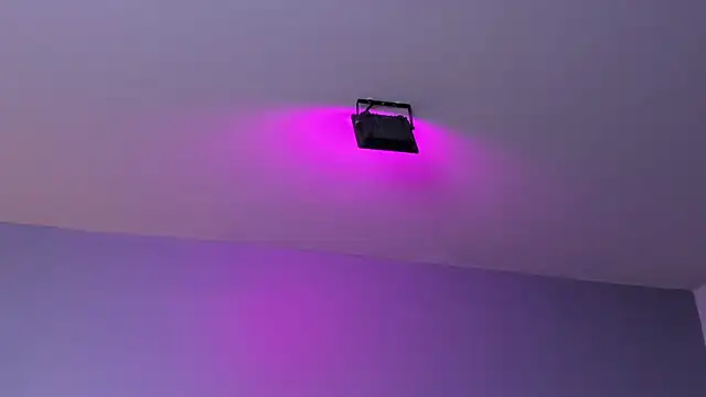 Amy_whittee 라이브 XXX 채팅