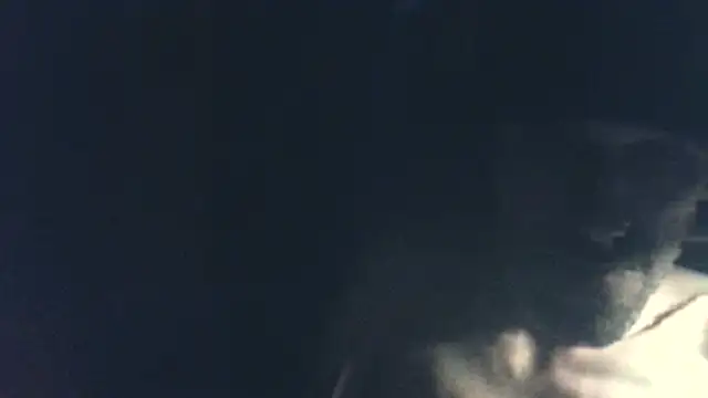 BlnAktivGay 即時 XXX 聊天