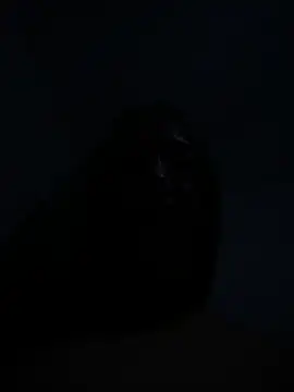 lucioliveiraのウェブカメラショー