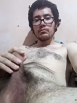 Show webcam de Lotusproject