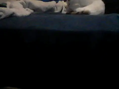 Silencio26's Webcam Show