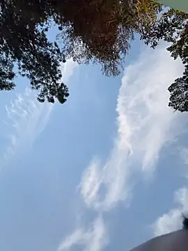 FerrariFrench Chat XXX live