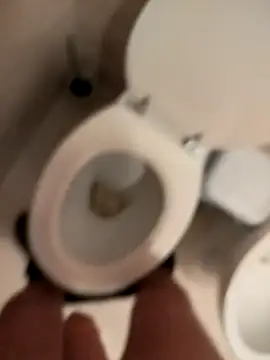 ptrz990 Live XXX-chat