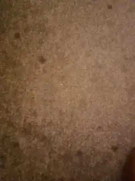 عرض كام Borgio123