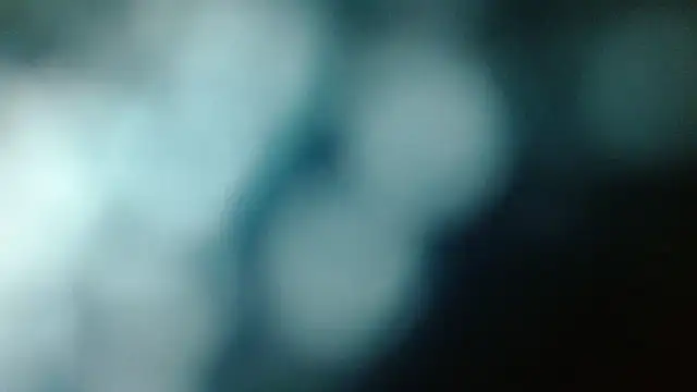 Show webcam de mister_fox723