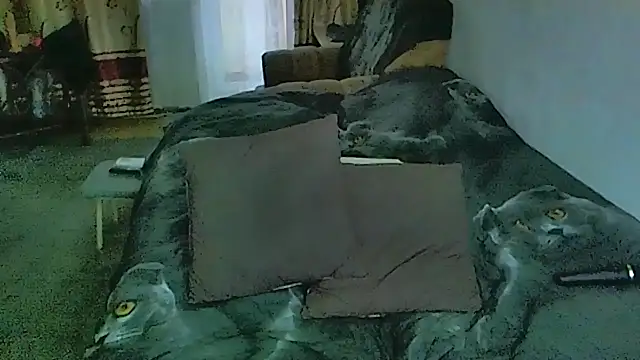 sex2 – Naživo XXX chat