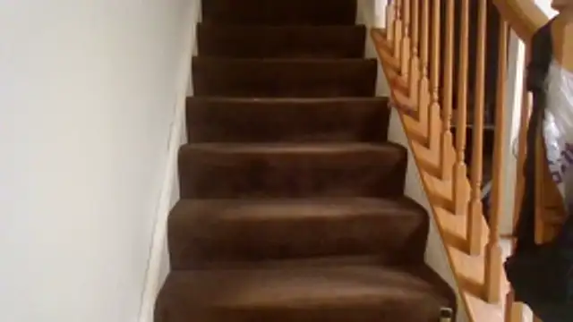 southeastindiann Live XXX Chat