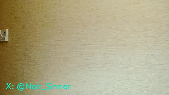 sinnernoirのウェブカメラショ ー