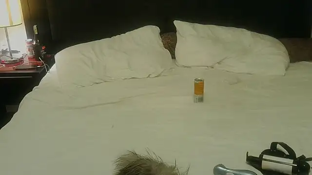 ashleyandtommy1 – Live XXX-chat