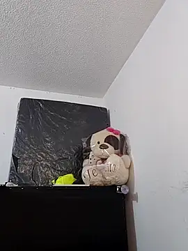 Pertunjukan Kamera Web doucebrune