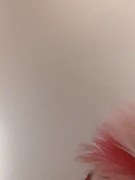 LilNaughtyKitty's Live XXX Chat