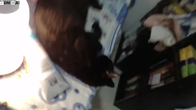 แชท XXX สดของ AlinaWoolf_