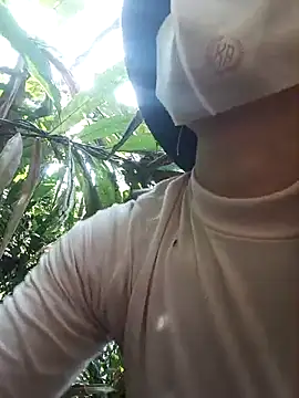 nat-tri 网络视讯表演