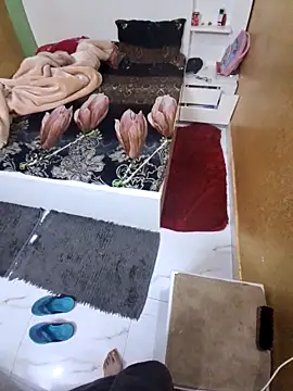 Show webcam de SingleTest