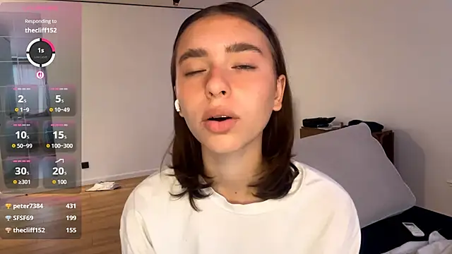 DeltaNorwooden Webbikameraesitys