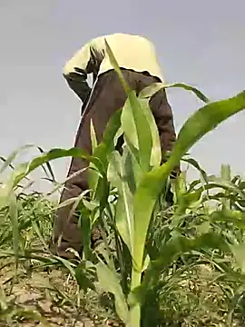 ThethunderPo Chat XXX in diretta