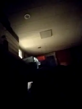 Show Webcam de AceticPinscher