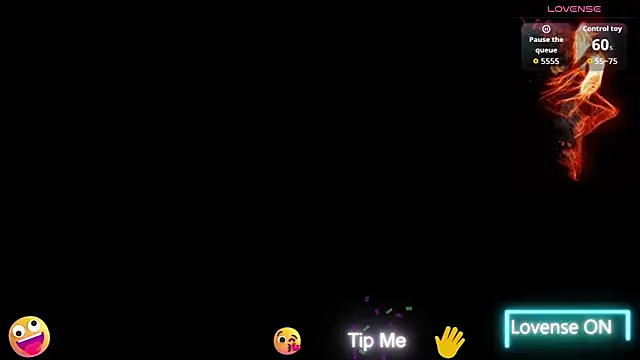 Hgay6935 网络视讯表演