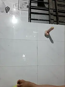 Shine_Main Webbikameraesitys