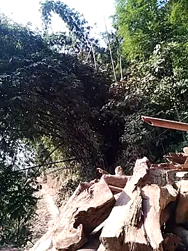 miss-su Adlı Modelin Canlı XXX Sohbeti