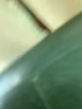 Xxxcerezita14_N Pertunjukan Webcam