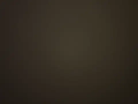 buodiculo Show Webcam