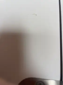 stallone_italiano_62 Pertunjukan Webcam